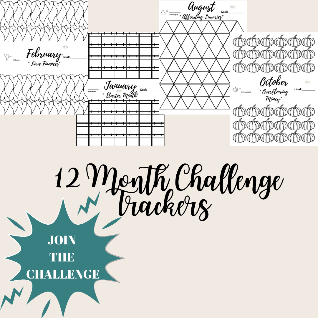 12 Month Debt/Savings Challenge Trackers Printables