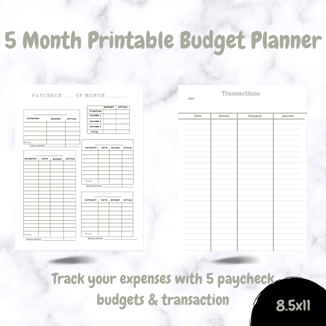 Minimalist Dusty Green Printable 5 Month Budget Planner