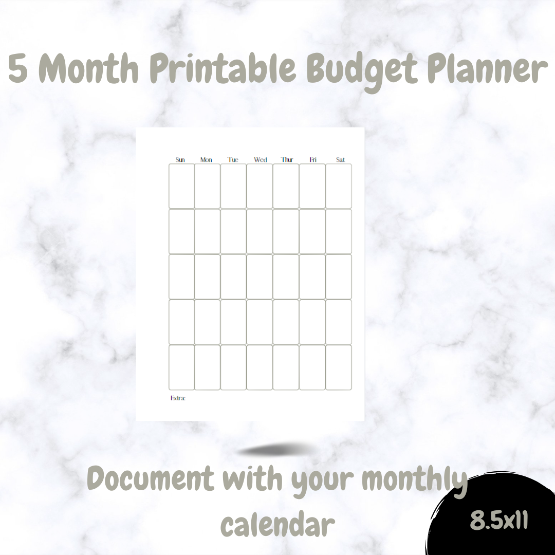 Minimalist Dusty Green Printable 5 Month Budget Planner
