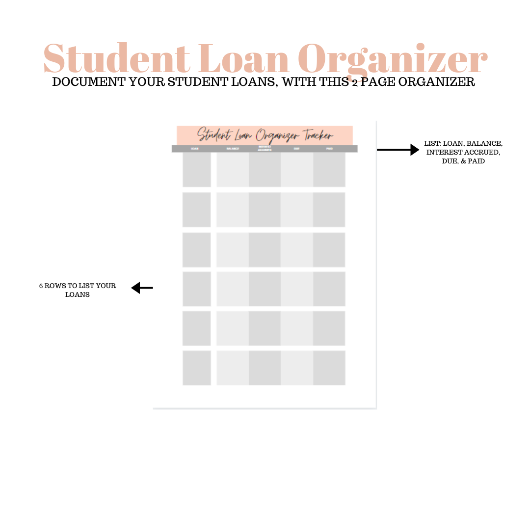Pink & Gray Student Loan Organizer Printable