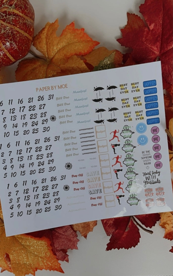 Budget Sticker Sheet - Planner Stickers